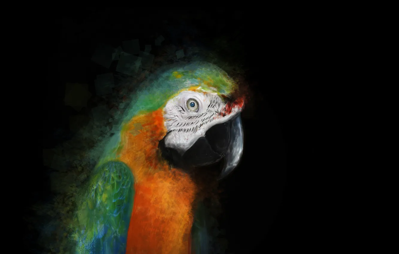 Photo wallpaper figure, parrot, magic