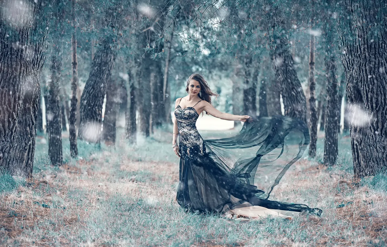 Photo wallpaper dress, alley, Alessandro Di Cicco, Taiga Forest