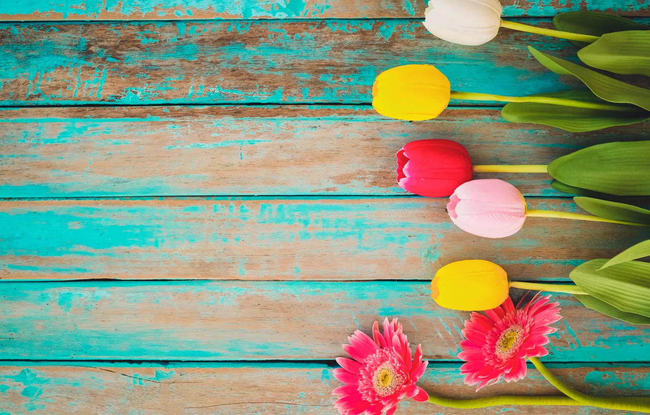 Photo wallpaper flowers, spring, colorful, tulips, gerbera, wood, flowers, tulips