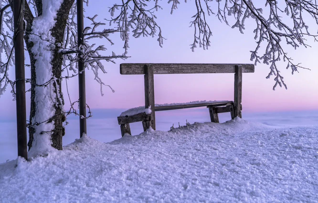 Photo wallpaper winter, snow, sunset, bench