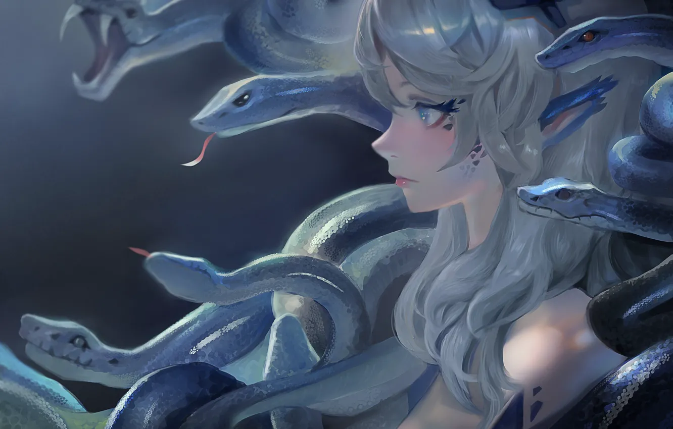 Photo wallpaper Snakes, Gray hair, Blue Eyes, Anime Devshuka
