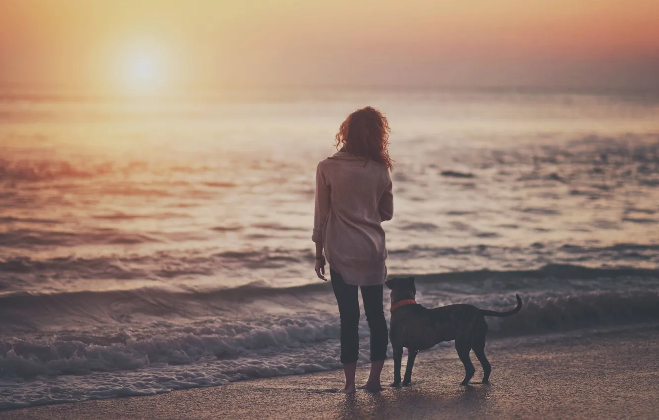 Photo wallpaper sea, wave, sunset, Girl, dog