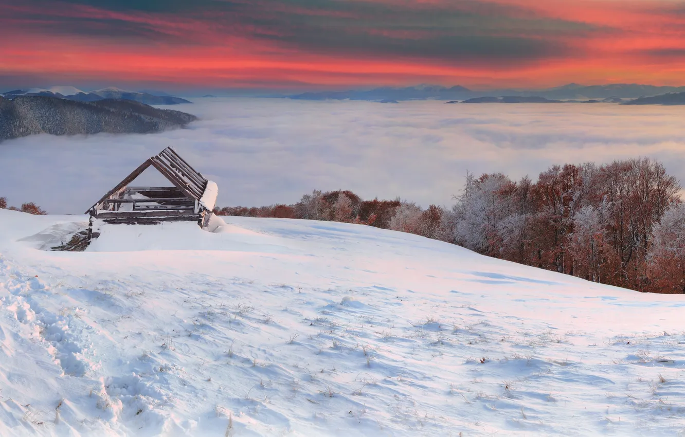 Photo wallpaper winter, clouds, trees, fog, structure, hills
