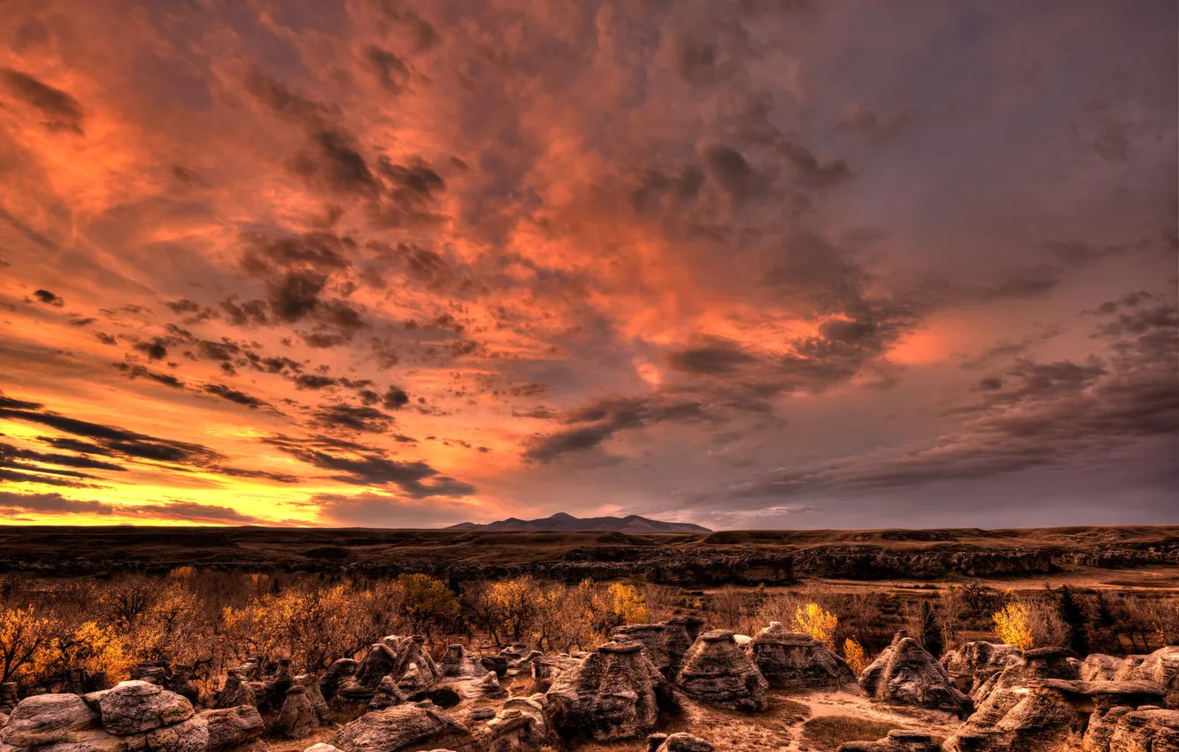 Photo wallpaper field, landscape, sunset