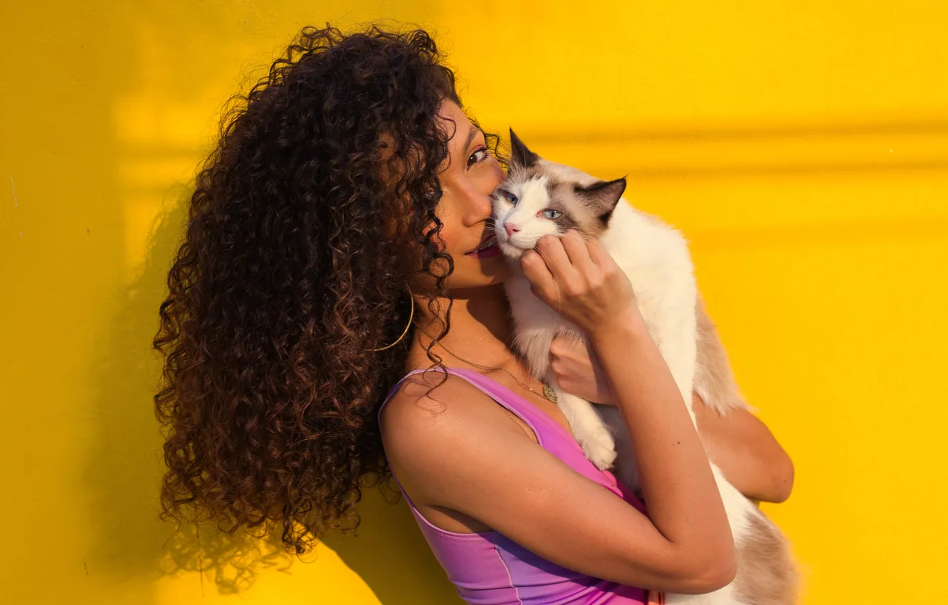 Photo wallpaper cat, white, cat, look, girl, light, smile, portrait