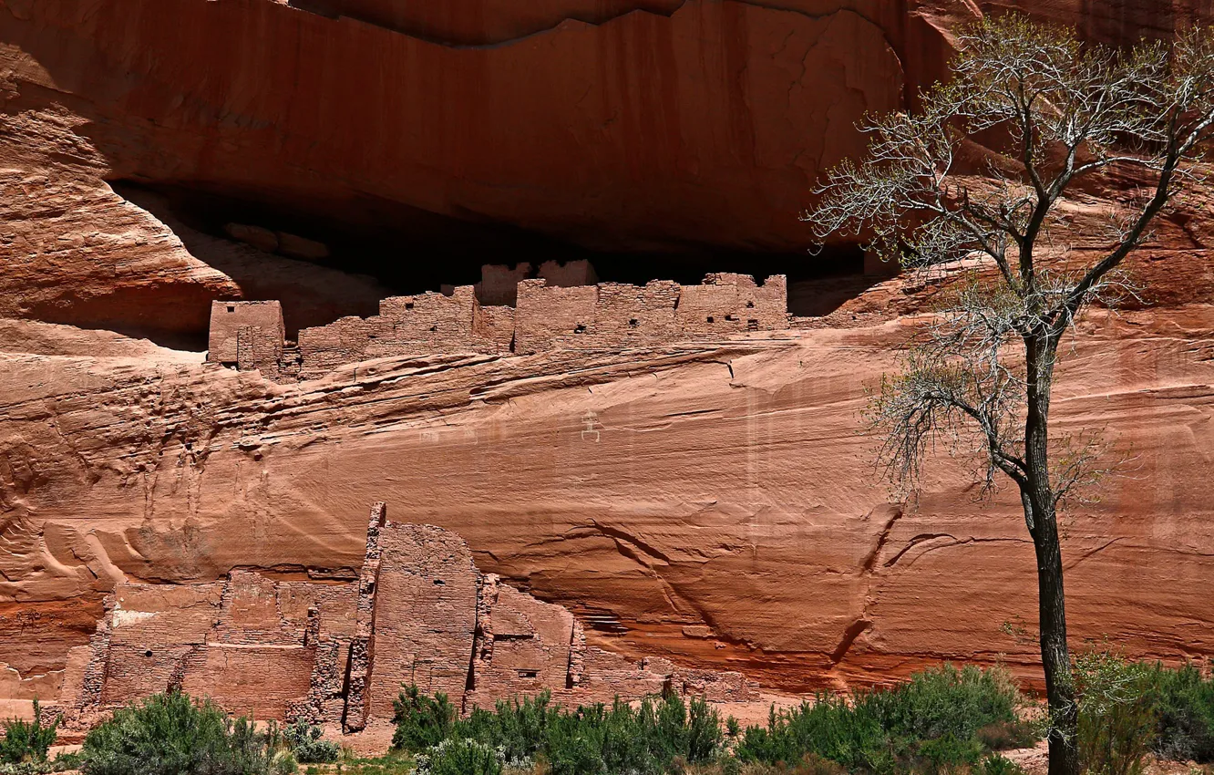 Photo wallpaper mountains, rocks, AZ, USA, Indian, Canyon de Shay