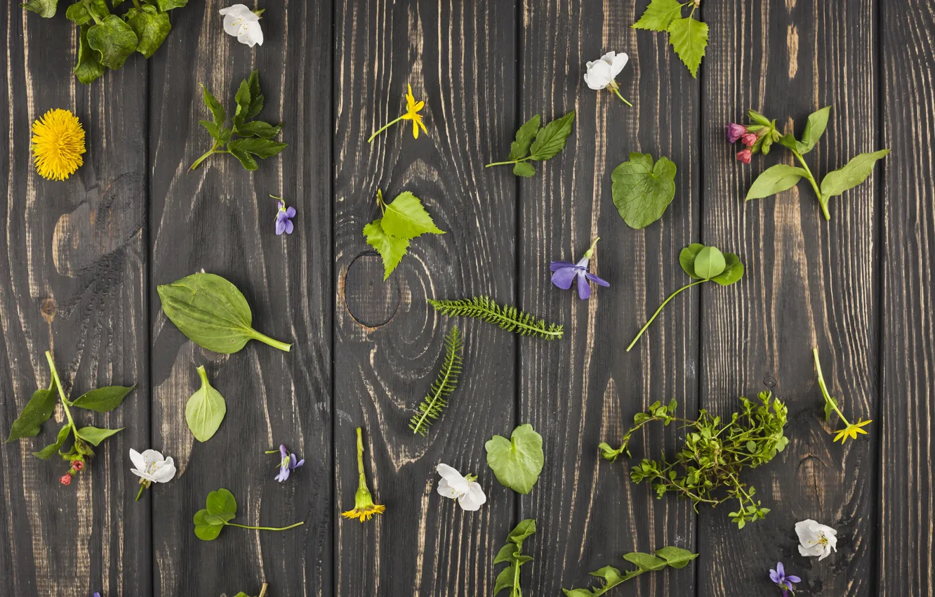 Photo wallpaper flowers, wood, flowers, leaves, decor, table