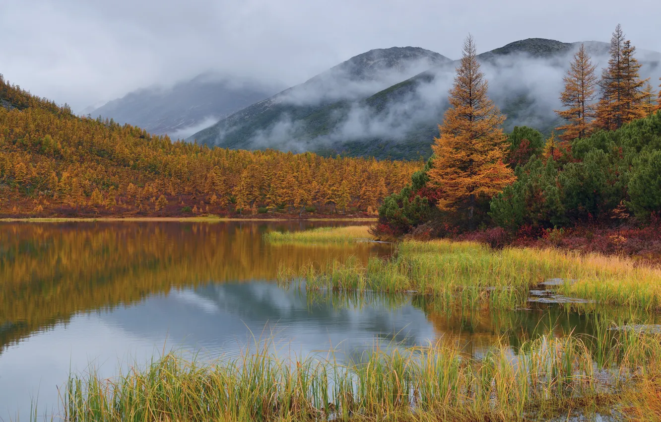 Photo wallpaper autumn, grass, clouds, trees, landscape, mountains, nature, fog