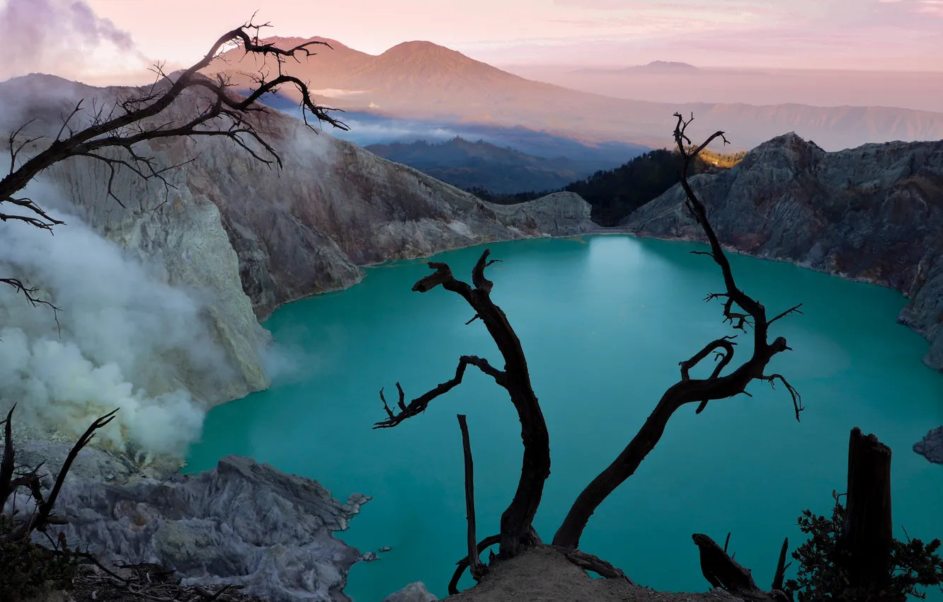 Photo wallpaper trees, branches, lake, rocks, shore, view, height, dal