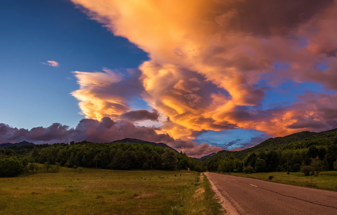 Photo wallpaper road, field, forest, summer, the sky, grass, clouds, landscape