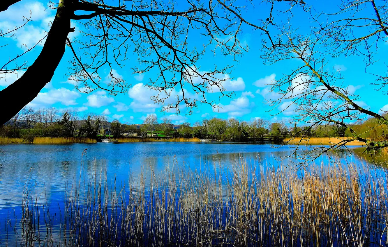 Photo wallpaper the sky, trees, nature, pond, river, the bridge