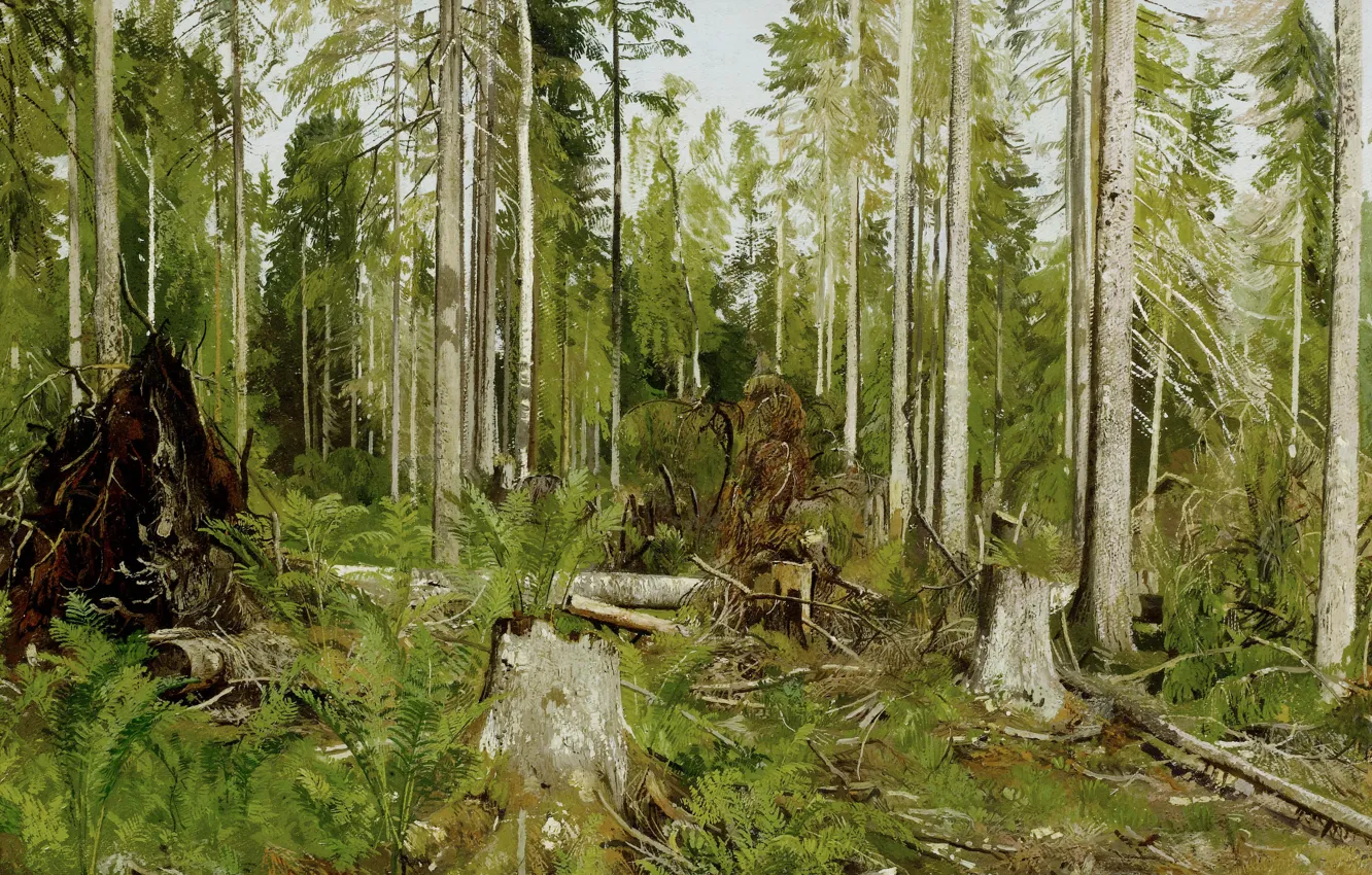 Photo wallpaper trees, thickets, picture, painting, Shishkin, Pine forest