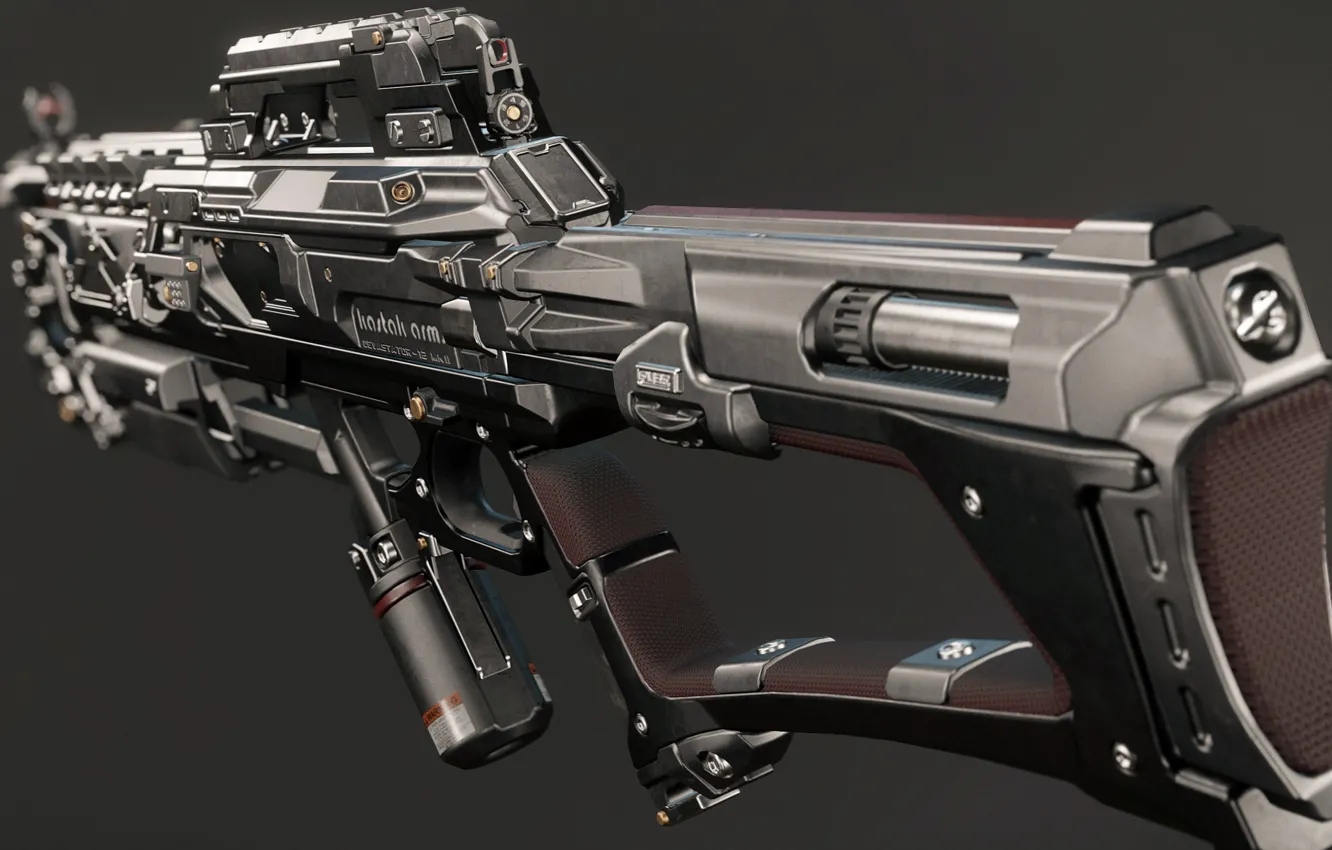 Photo wallpaper weapons, Star Citizen, Kastak Arms