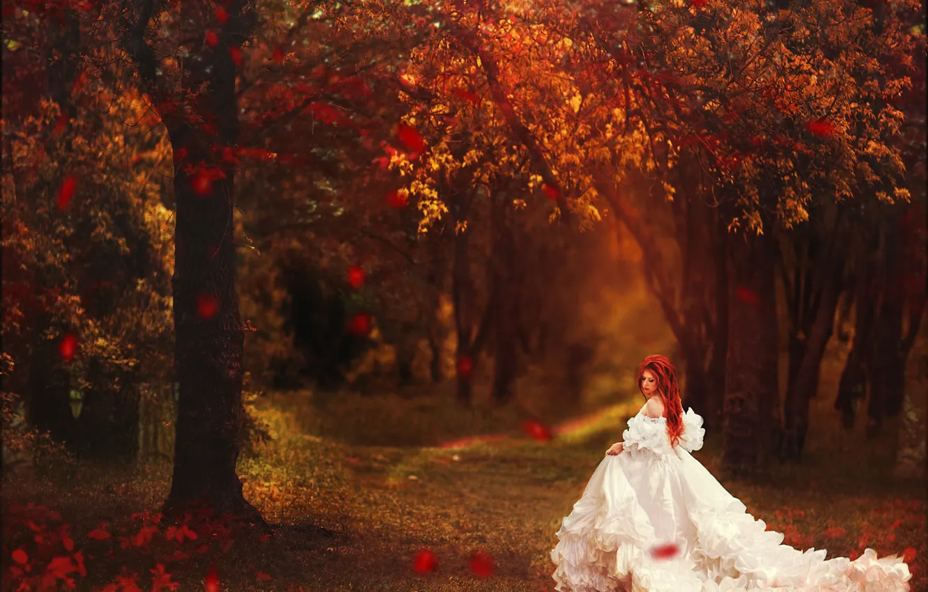 Photo wallpaper autumn, leaves, girl, trees, nature, dress, red, time of the year