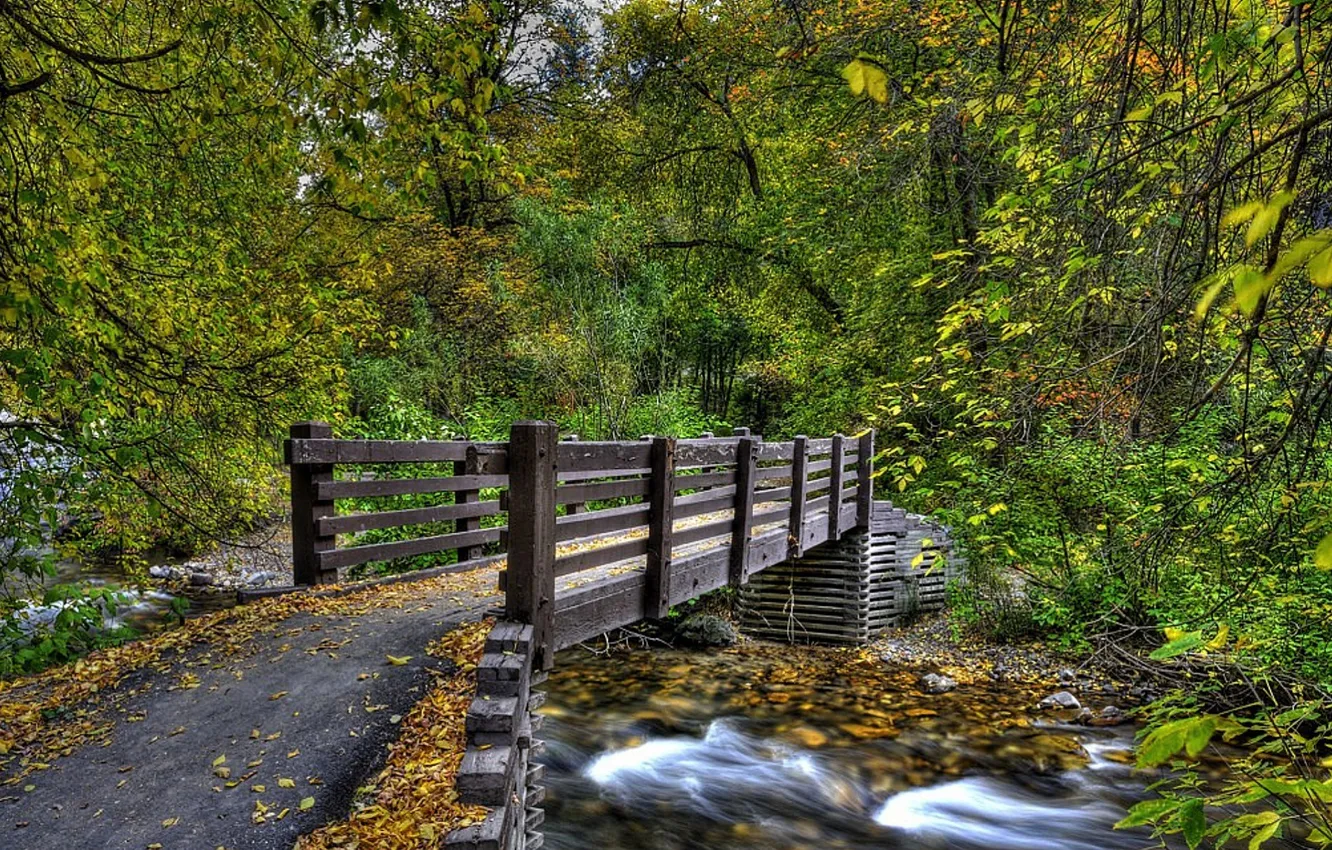 Photo wallpaper autumn, forest, trees, landscape, nature, river