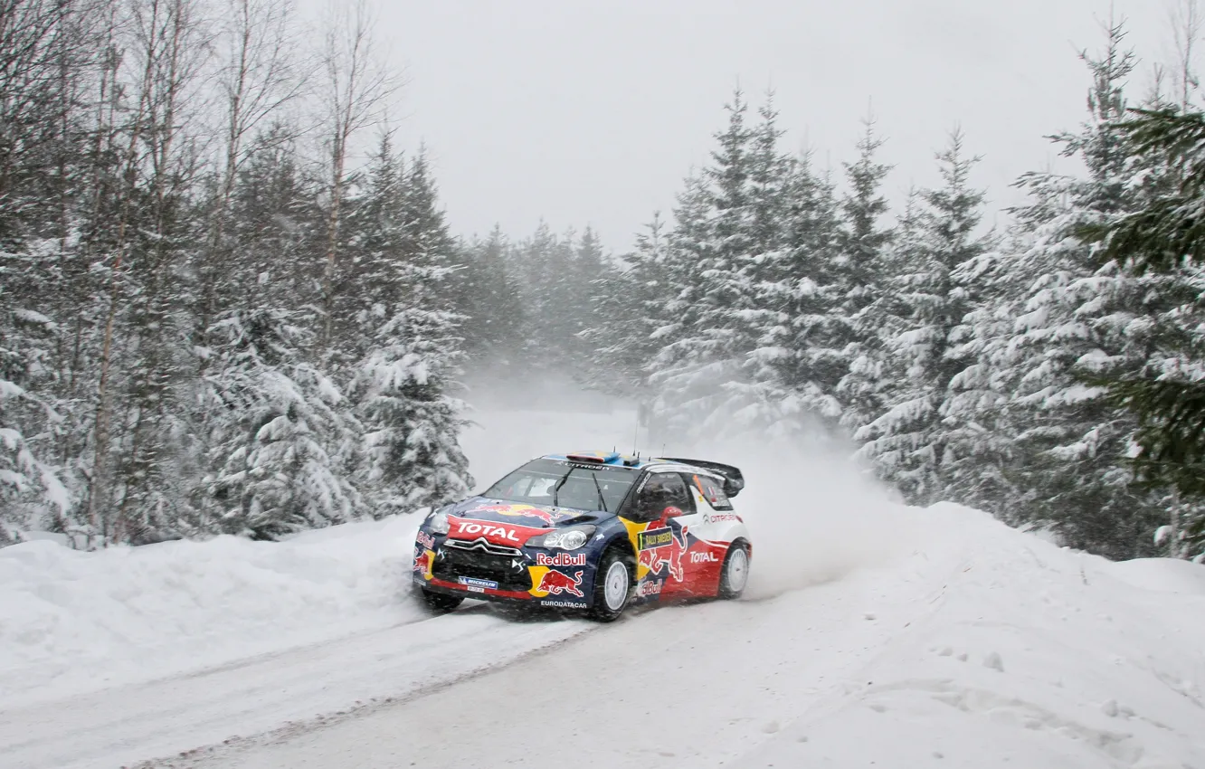 Photo wallpaper race, Winter, Snow, Tree, Citroen, Track, Red Bull, DS3