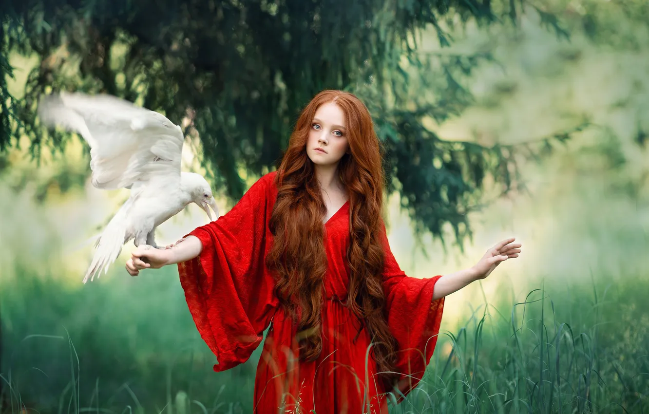 Photo wallpaper white, girl, branches, nature, pose, style, bird, spruce