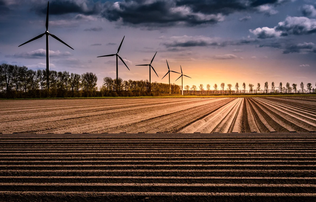 Photo wallpaper Netherlands, windmills, Geometric nature