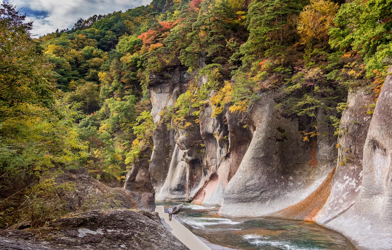 Photo wallpaper autumn, forest, the sun, trees, river, stones, rocks, Japan