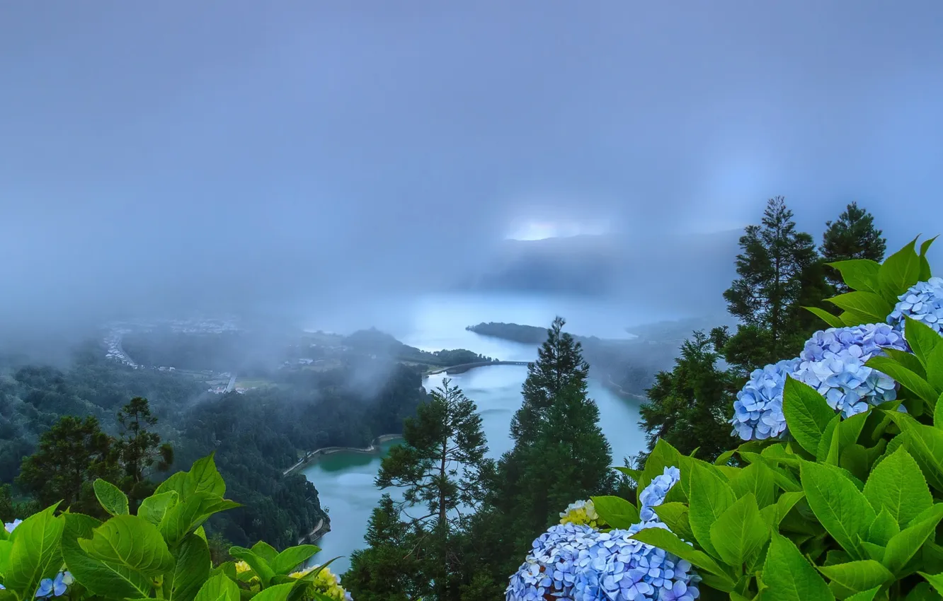 Photo wallpaper landscape, flowers, nature, fog, lake, hills, vegetation, Portugal