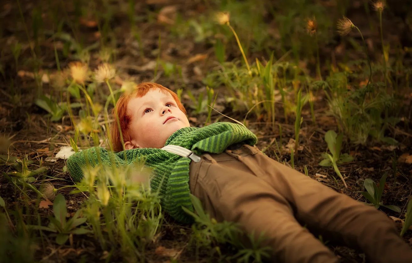 Photo wallpaper grass, nature, boy, child, dreamer, Marianne Smolin