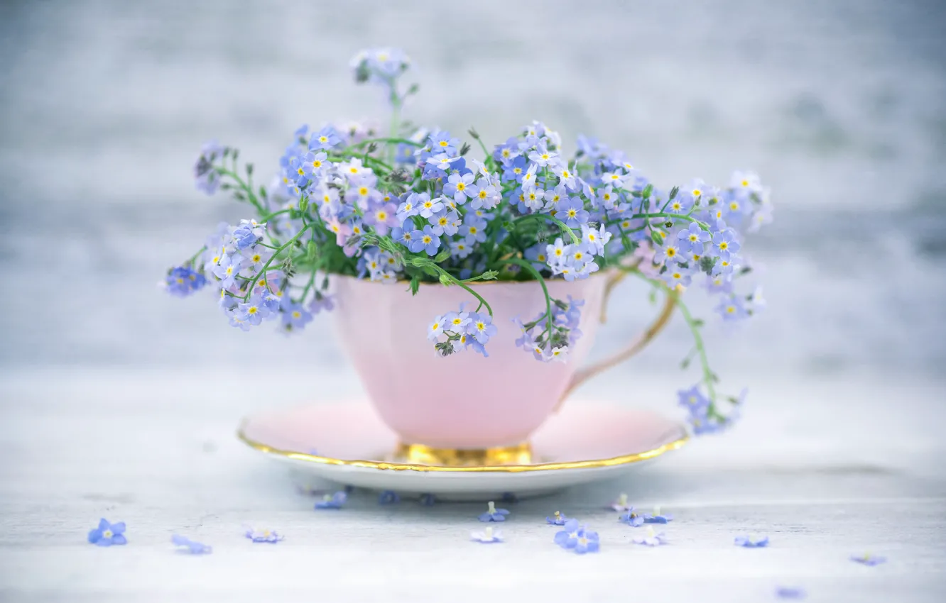Photo wallpaper style, mug, Cup, a bunch, forget-me-nots