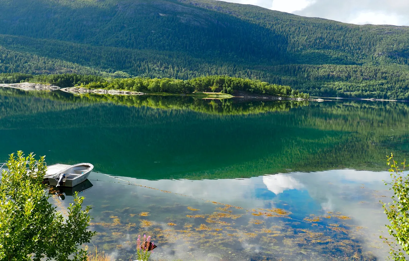 Photo wallpaper greens, forest, the sun, trees, mountains, river, shore, boat