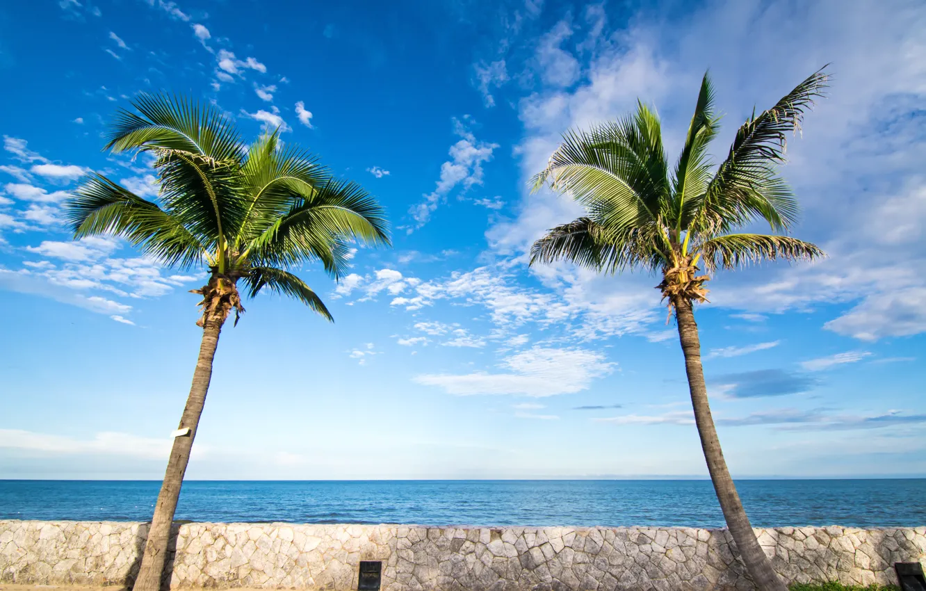 Photo wallpaper sand, sea, beach, summer, the sky, the sun, palm trees, shore