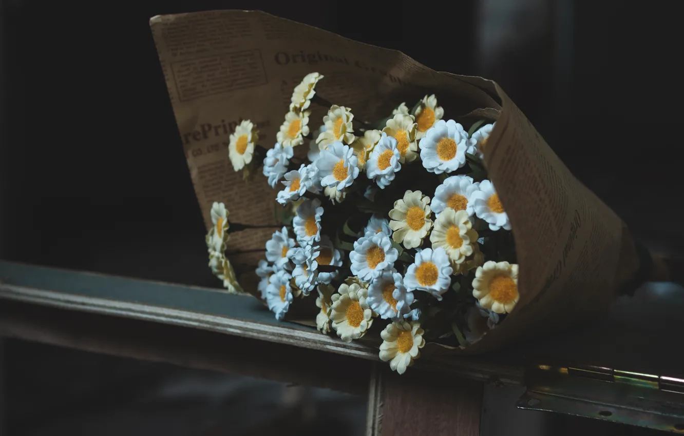 Photo wallpaper flowers, paper, the dark background, Board, chamomile, bouquet, newspaper, white