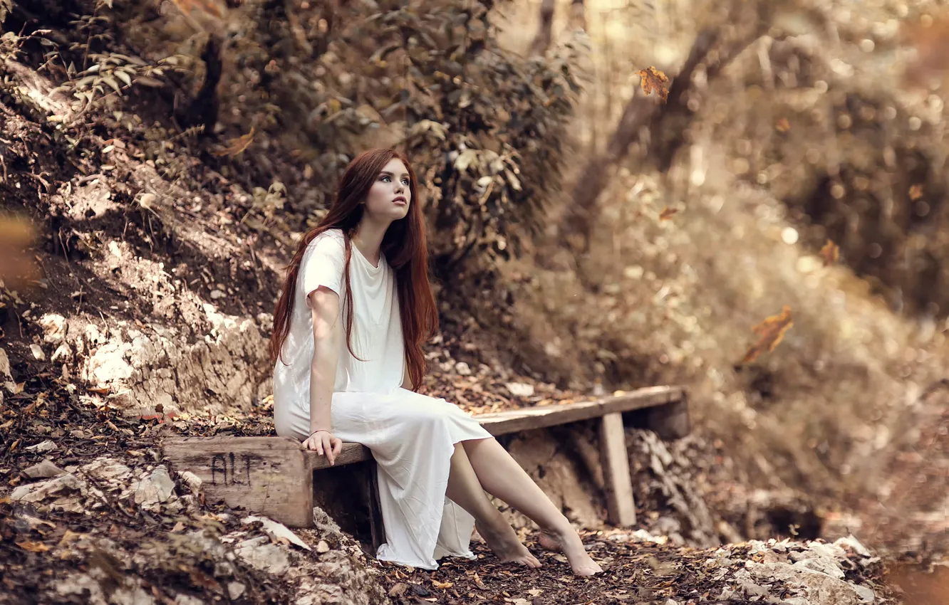 Photo wallpaper autumn, girl, falling leaves, bench, Wonderland, Alessandro Di Cicco