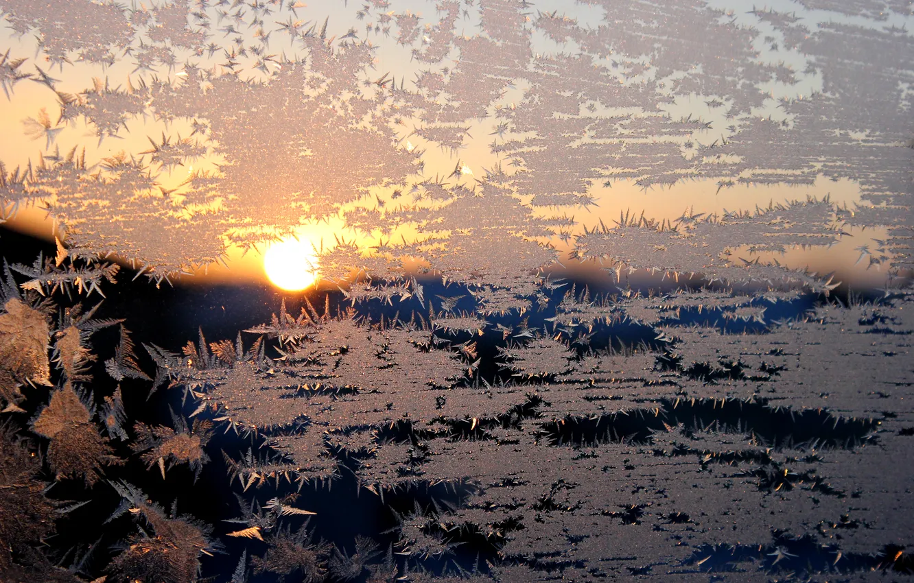 Photo wallpaper winter, sunset, pattern, window, frost