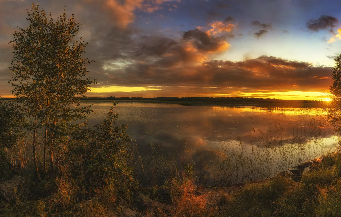 Photo wallpaper summer, the sky, grass, clouds, trees, sunset, lake, stones