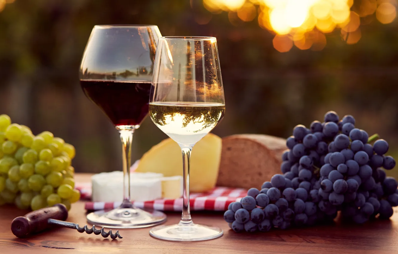 Photo wallpaper the sun, glare, table, background, wine, glass, cheese, bread