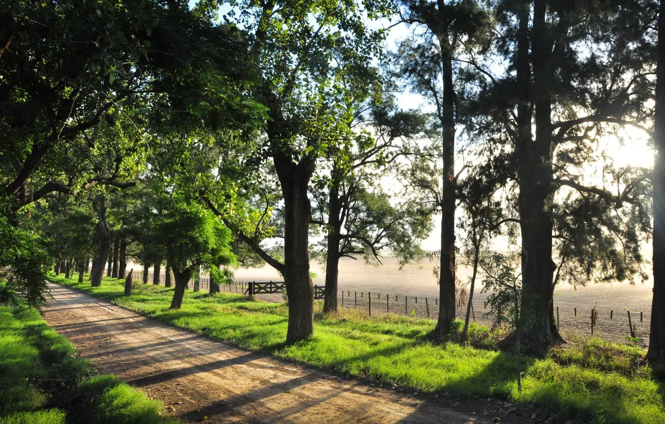 Photo wallpaper road, light, nature, beauty, warm, solar, empty, Afternoon Beauty