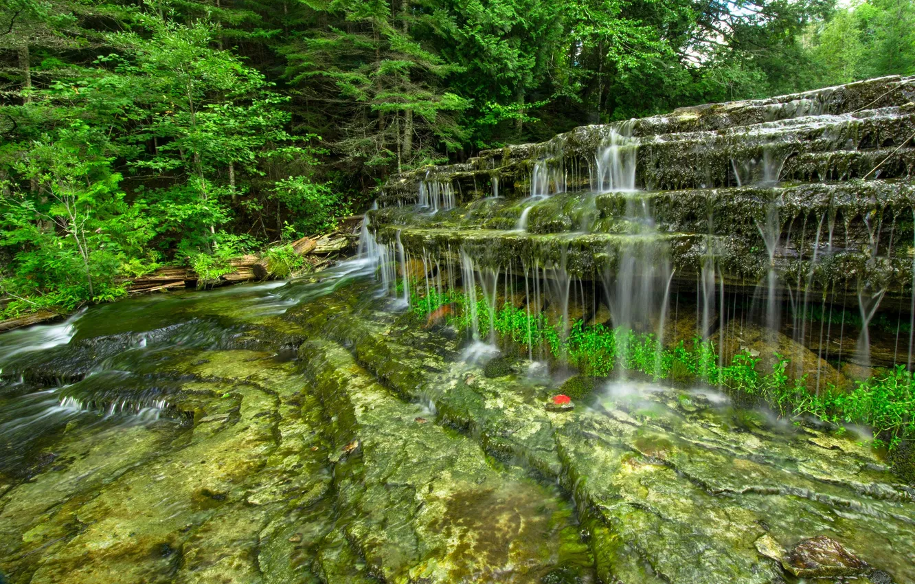 Photo wallpaper forest, trees, rock, river, waterfall, cascade