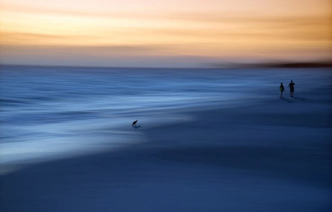 Photo wallpaper sea, sunset, bird, people