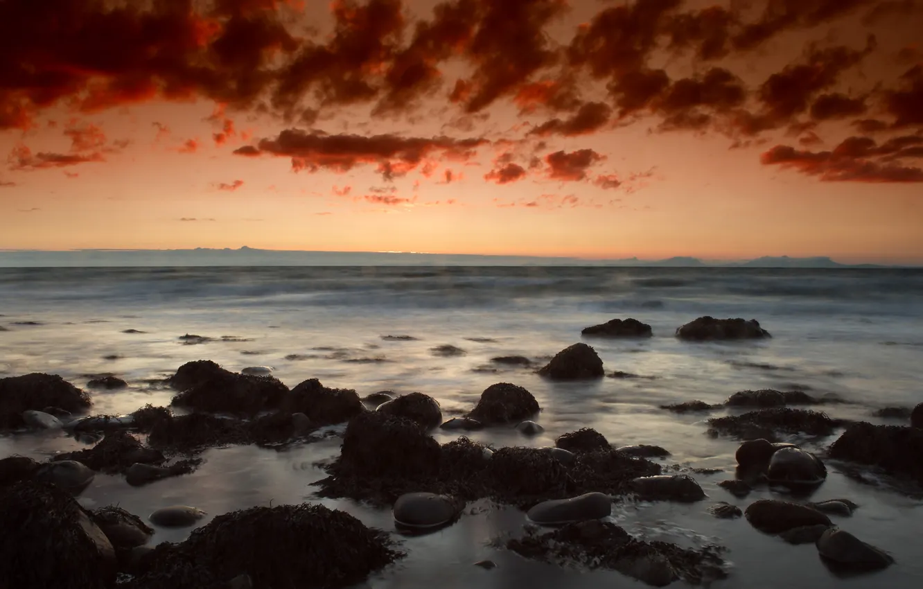 Photo wallpaper sea, the sky, clouds, algae, sunset, stones
