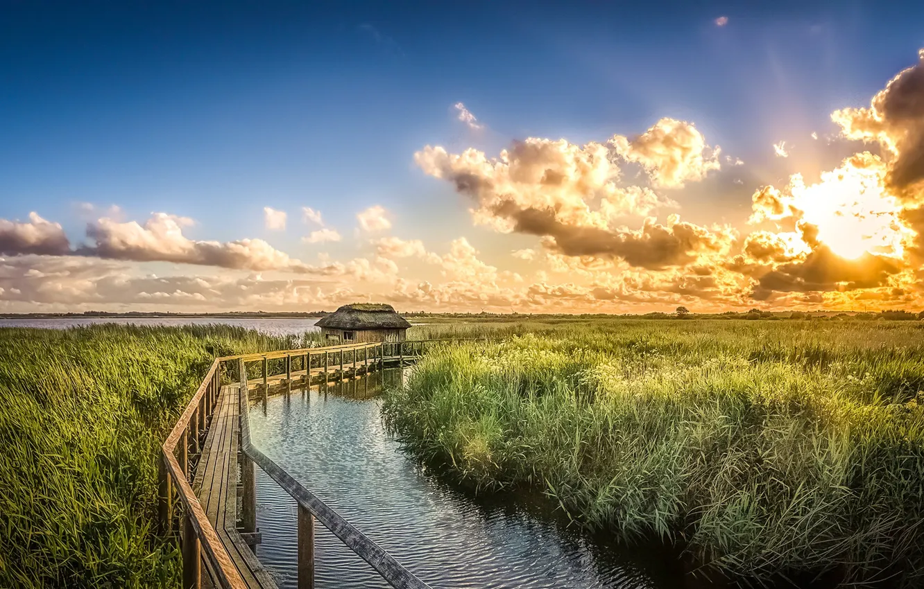 Photo wallpaper the sky, the sun, clouds, sunset, river, the reeds, Denmark, house