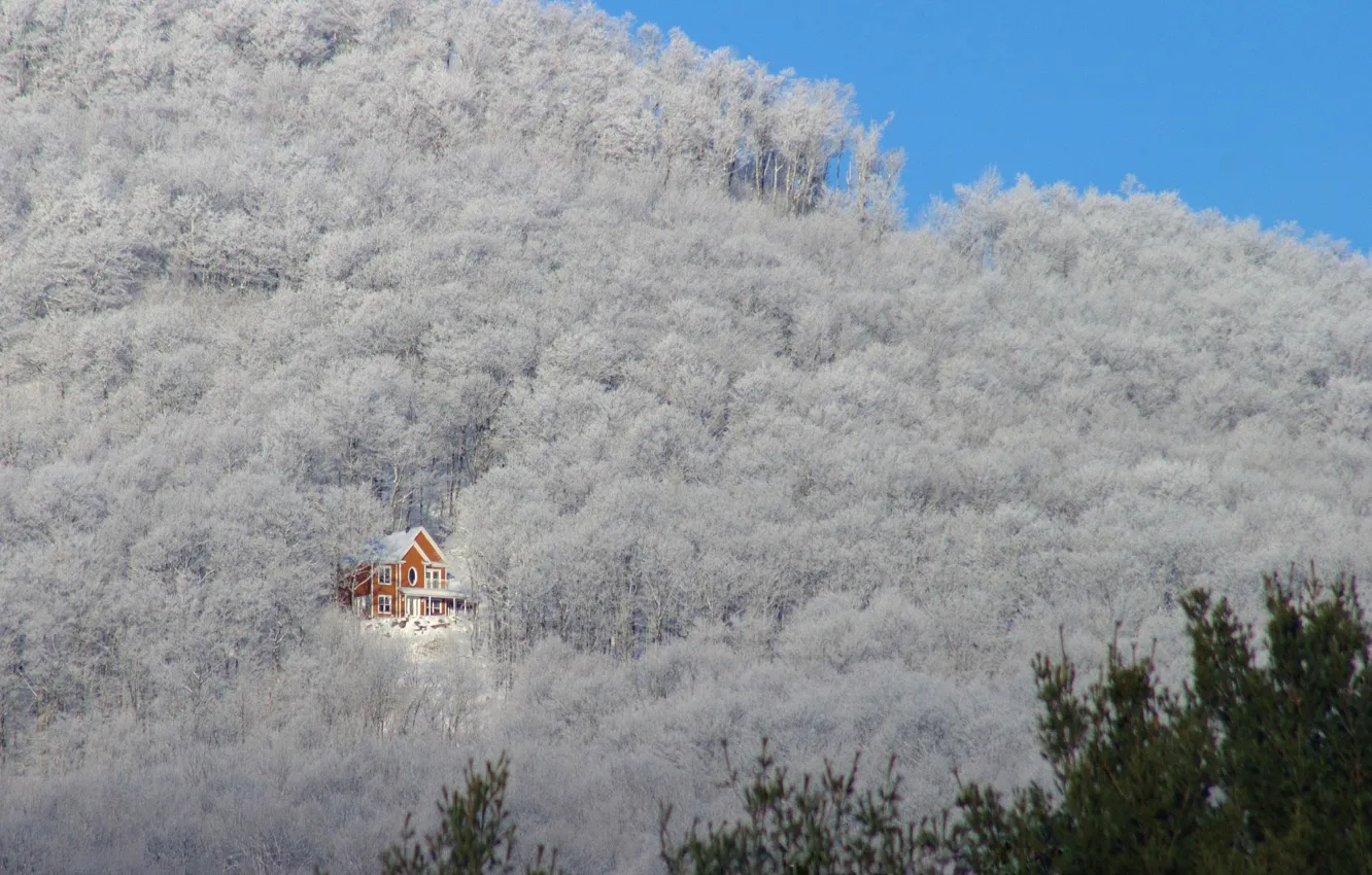 Photo wallpaper trees, mountain, slope, house