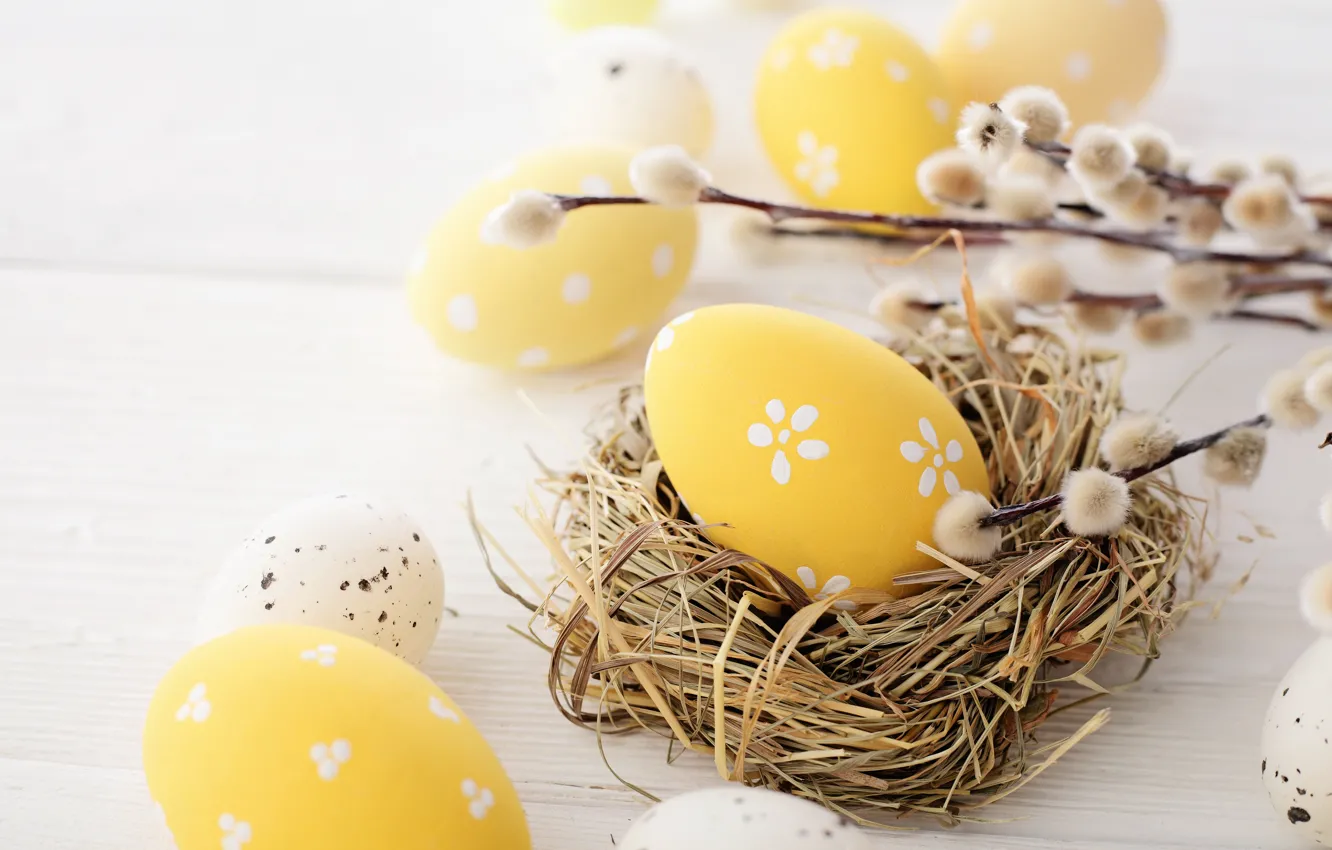 Photo wallpaper branches, yellow, Board, eggs, spring, Easter, socket, light background
