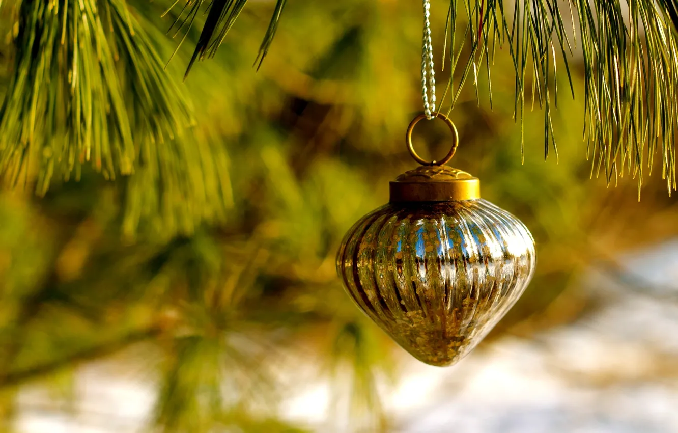Photo wallpaper winter, needles, branches, holiday, toy, new year, Christmas, Christmas