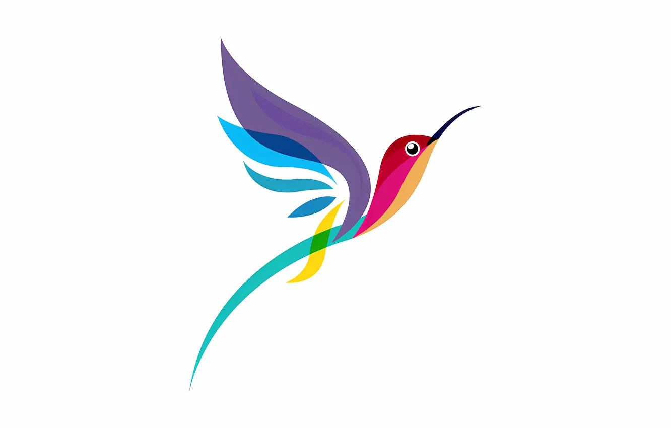 Photo wallpaper colorful, bird, multicolor, hummingbird, stylized hummingbird, long tail