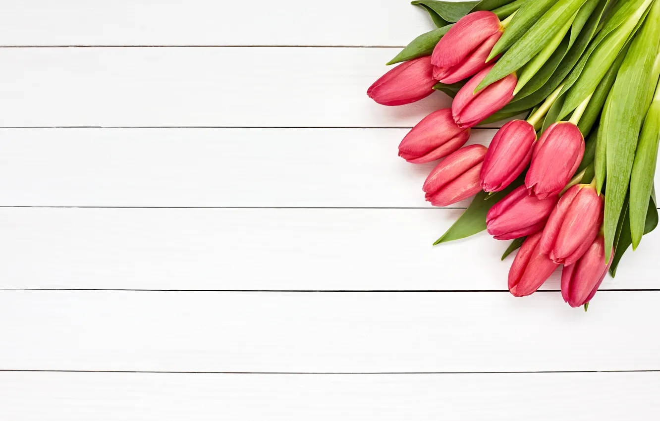 Photo wallpaper flowers, bouquet, tulips, pink, fresh, pink, flowers, beautiful