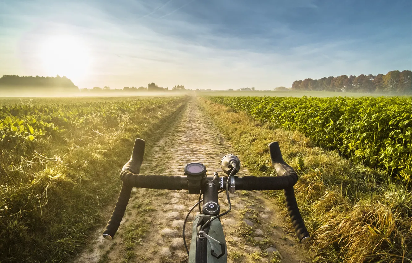 Photo wallpaper road, field, bike, fog, sport, morning, road bike, road Builder