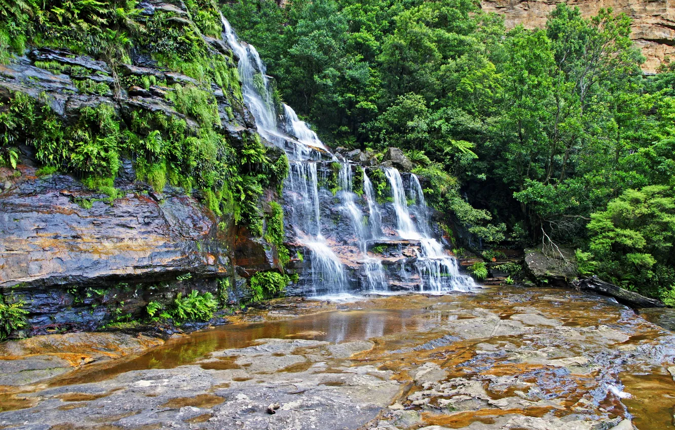 Photo wallpaper stones, waterfall, HDR, Australia, the bushes, Katoomba Falls