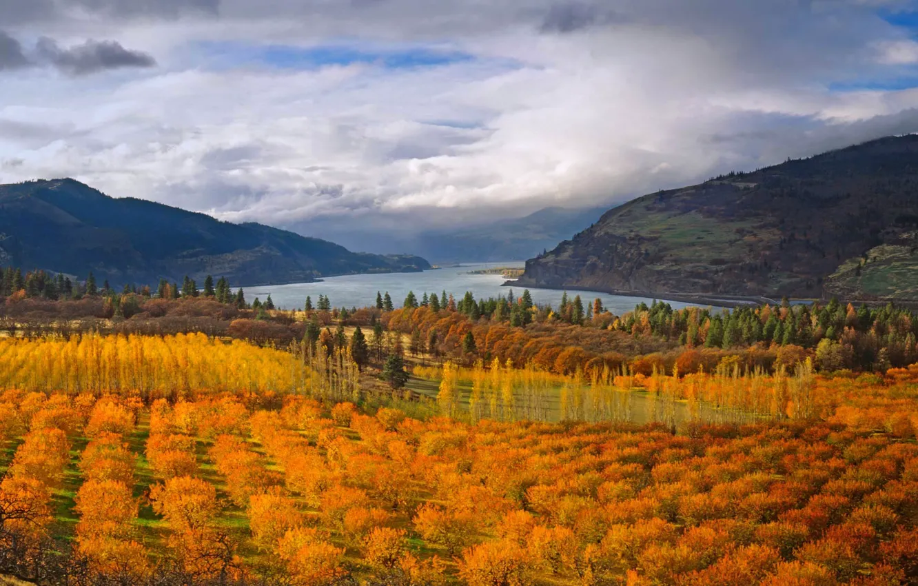 Photo wallpaper autumn, trees, mountains, lake, Oregon, USA, the cherry orchard, Columbia River Gorge National Scenic Area