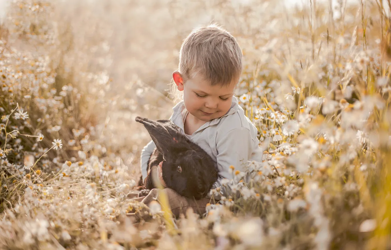 Photo wallpaper flowers, each, mood, chamomile, boy, rabbit, meadow, friendship