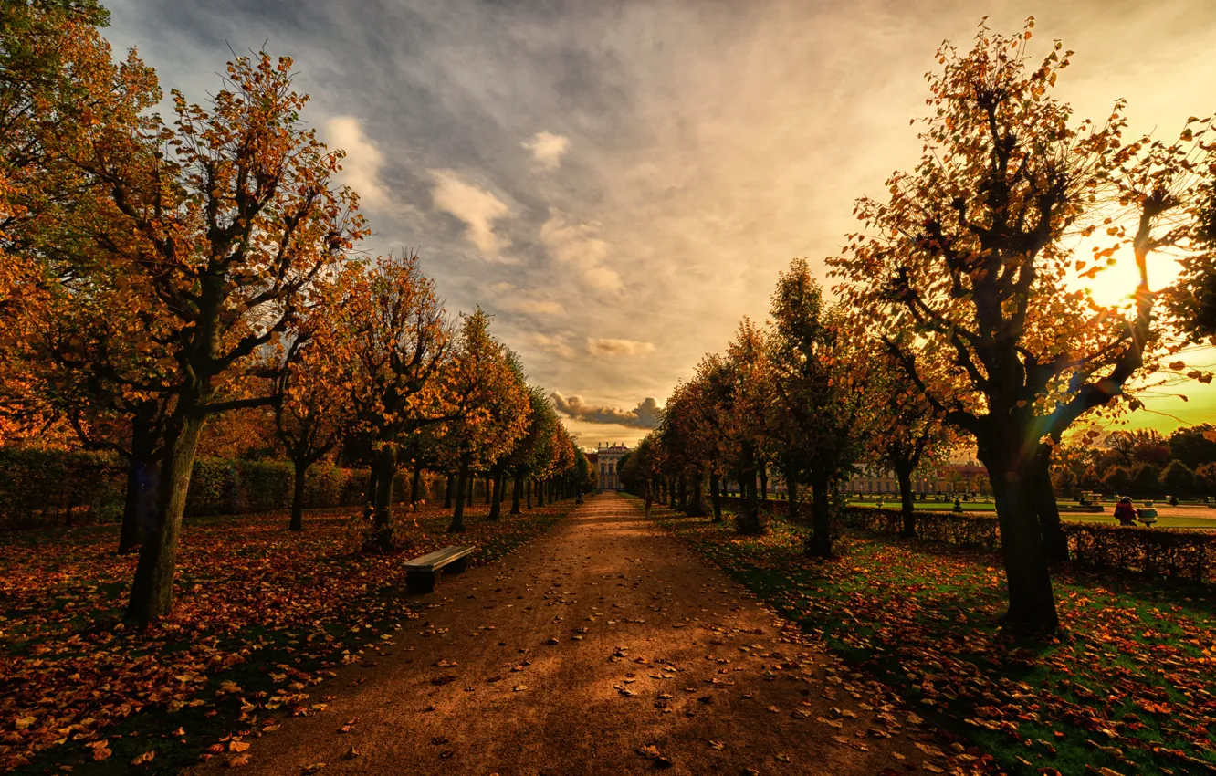 Photo wallpaper autumn, bench, Park, the evening, alley