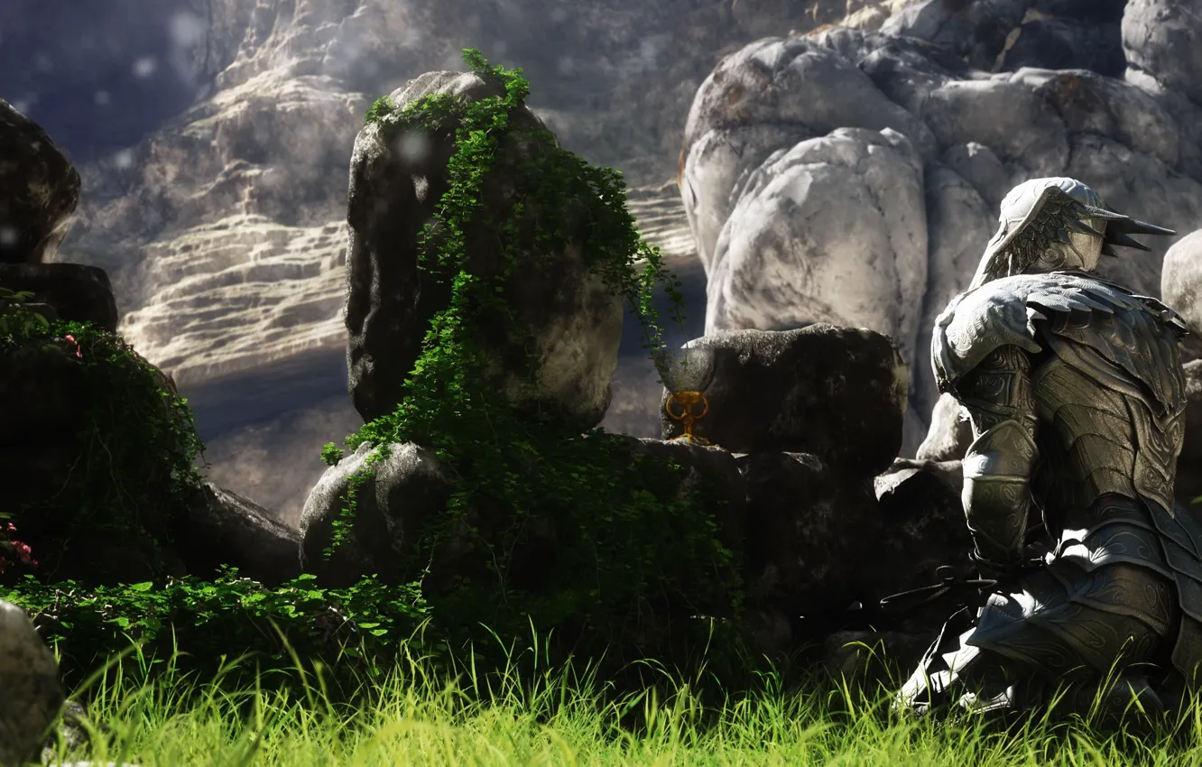Photo wallpaper flowers, mountains, stones, armor, bowl, warrior, knight, Cup