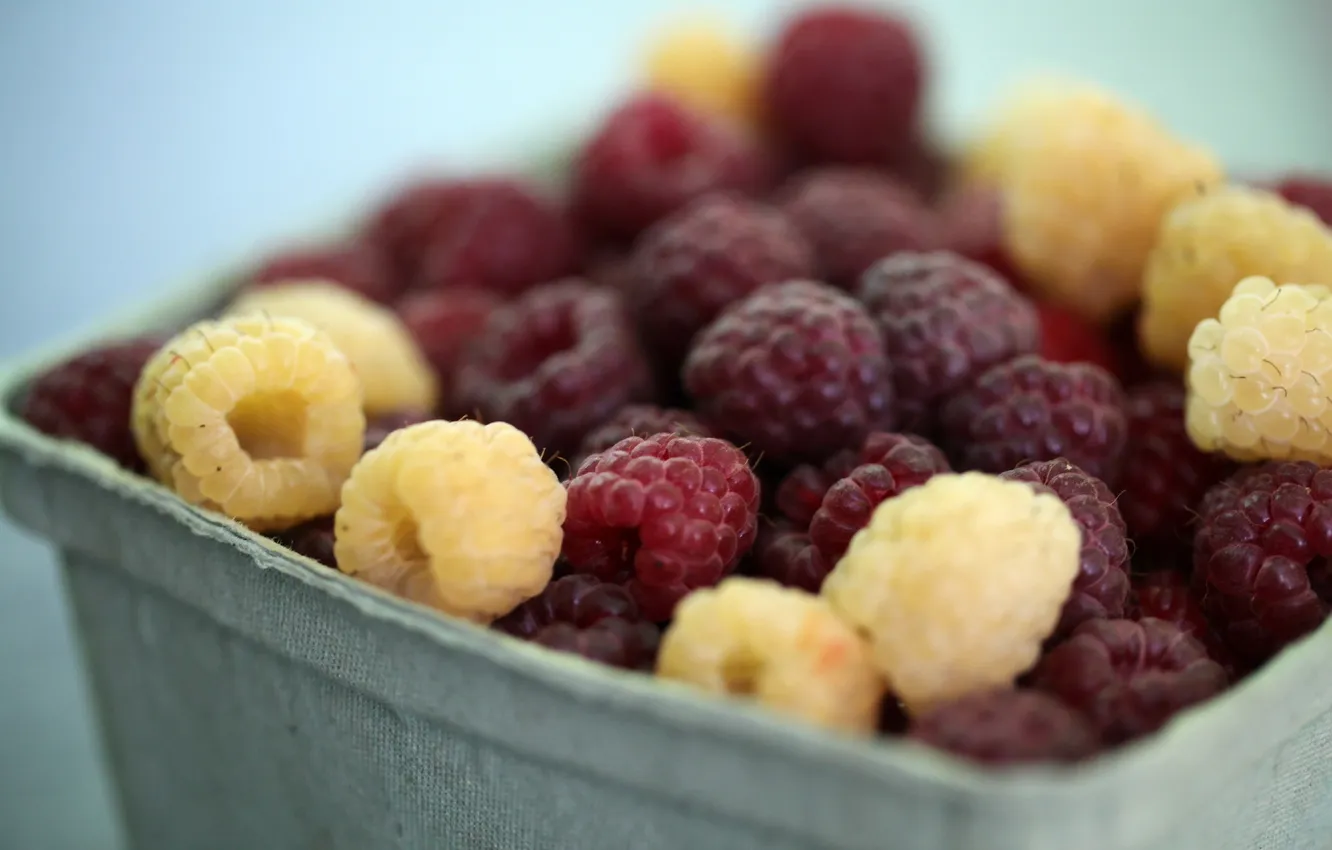 Photo wallpaper macro, raspberry, food